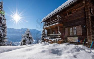 Chalet 6 rooms - image - 2