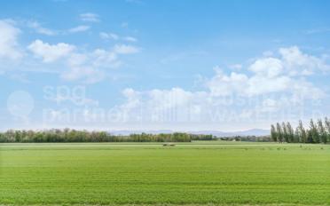 Bureau - image - 4