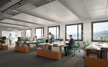 Office - image - 11