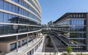 Office - image - 4