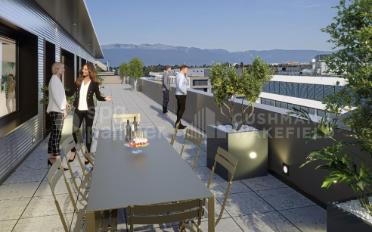 Commercial - image - 7