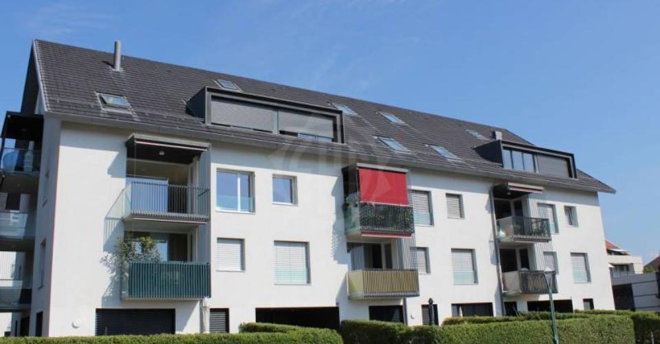 Gland
