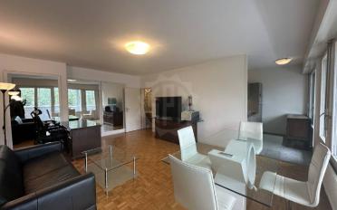 Wohnung 1.5 Zimmer - image - 5