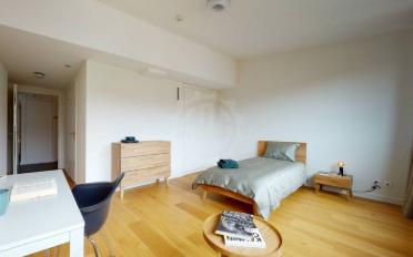 Wohnung ein Zimmer - image - 6