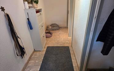 Doppeleinfamilienhaus 6 Zimmer - image - 4