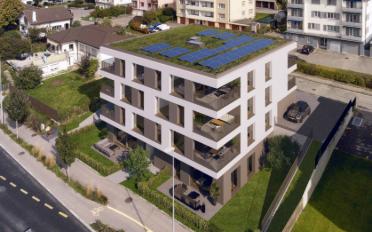 Wohnung 2.5 Zimmer - image - 4