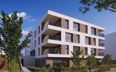 Dachwohnung 3.5 Zimmer - image - 3