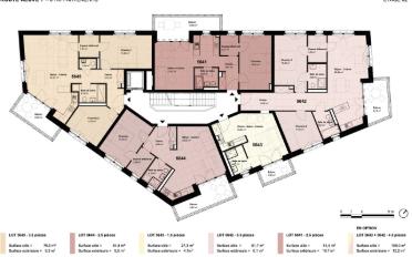 Wohnung 2.5 Zimmer - image - 2