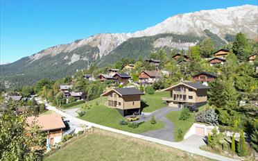 Chalet 4.5 pièces - image - 2