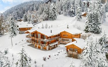 Chalet 12 pièces - image - 1