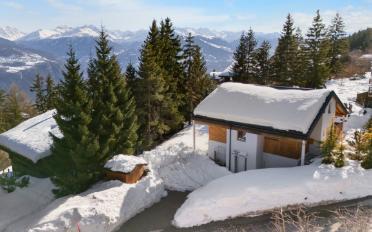 Chalet 4.5 pièces - image - 1