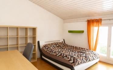 Doppeleinfamilienhaus 6.5 Zimmer - image - 7