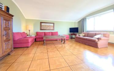 Attikawohnung 5.5 Zimmer - image - 3