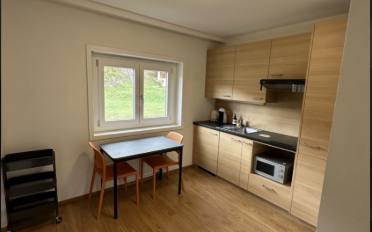 Wohnung 1.5 Zimmer - image - 6