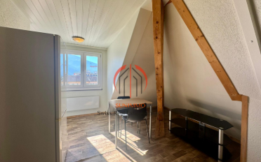Attic flat 2.5 rooms - image - 6