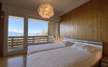 Dachwohnung 3.5 Zimmer - image - 7
