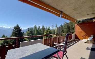 Furnished flat 2.5 rooms - image - 2