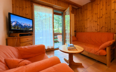 Furnished flat 2.5 rooms - image - 2