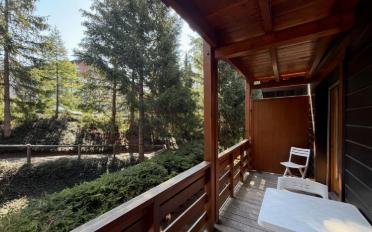 Furnished flat 2.5 rooms - image - 4
