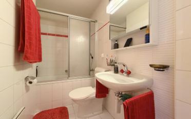Furnished flat 2.5 rooms - image - 8