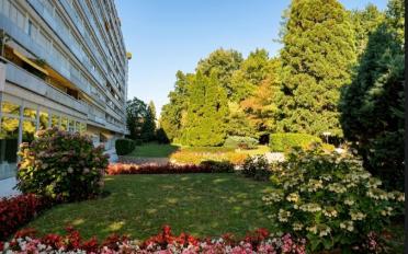 Wohnung - image - 13