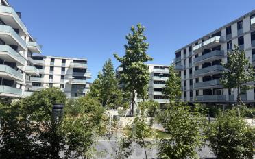 Apartment 2.5 rooms - image - 6