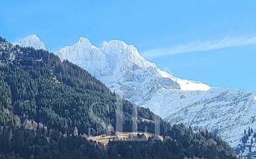 Chalet 5.5 Zimmer - image - 3