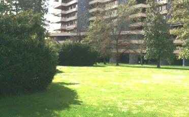 Apartment 3 rooms - image - 4