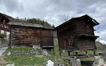 Rustico 5 Zimmer - image - 10
