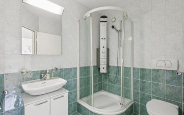 Attic flat 6 rooms - image - 8