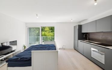 Wohnung 1.5 Zimmer - image - 1