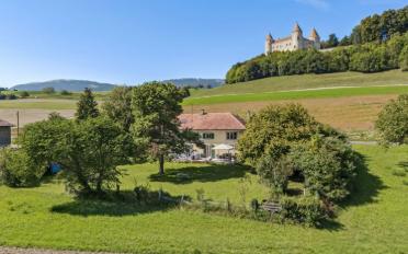 Einfamilienhaus 6.5 Zimmer - image - 1