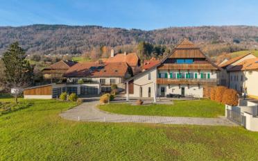Einfamilienhaus 12 Zimmer - image - 1