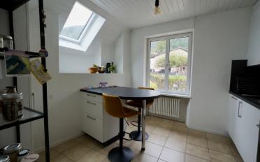 Gemischt genutzte Immobilie 9.5 Zimmer - image - 7