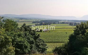 Einfamilienhaus 14 Zimmer - image - 1