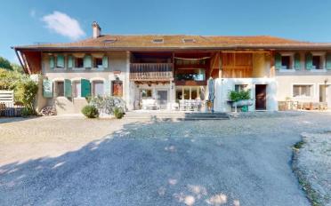 Single house 12 rooms - image - 4