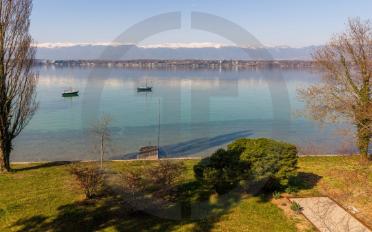 Villa 10 Zimmer - image - 6