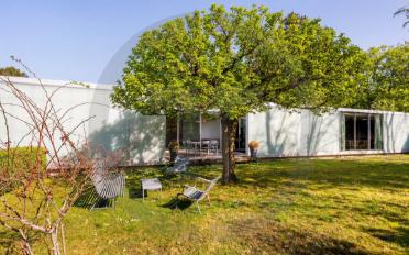 Villa 10 Zimmer - image - 12