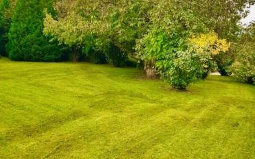 Maison 5.5 pièces - image - 2