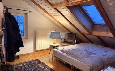 Duplex 3.5 Zimmer - image - 10