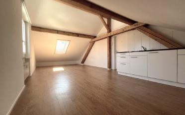 Apartment 1 room - image - 4