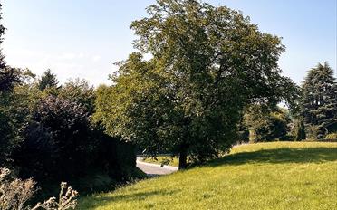 Villa 7 Zimmer - image - 1