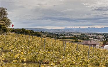 Villa 6.5 pièces - image - 1