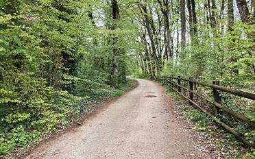 Doppeleinfamilienhaus 4.5 Zimmer - image - 1