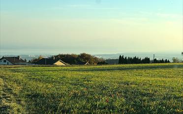 Villa - image - 1