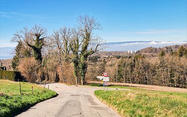 Villa 4.5 Zimmer - image - 1