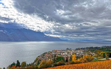 Villa - image - 3