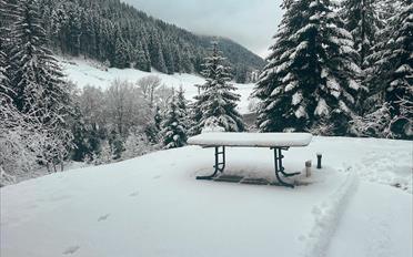 Chalet 6.5 pièces - image - 1