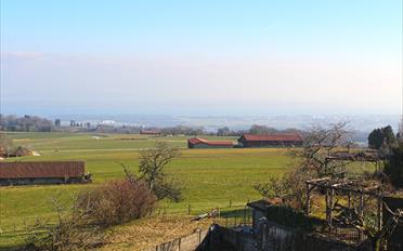 Villa - image - 3
