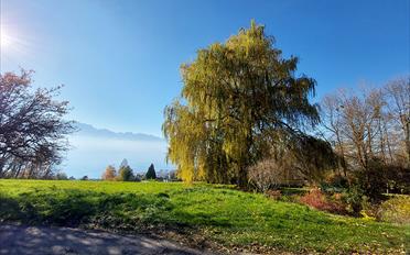 Villa 7 Zimmer - image - 1